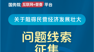 骚逼被操爽国务院“互联网+督查”平台公开征集阻碍民营经济发展壮大问题线索